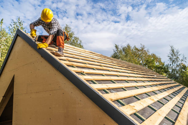 Best Roof Gutter Cleaning  in Breckenridge, MI