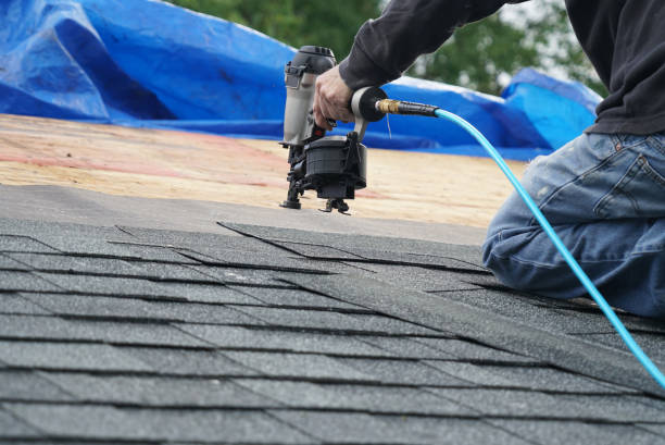 Best Metal Roofing Contractor  in Breckenridge, MI