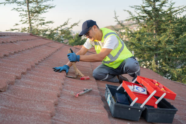 Professional Roofing Contractor in Breckenridge, MI