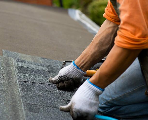 Best Roof Installation Near Me  in Breckenridge, MI