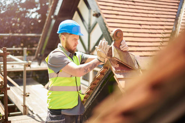 Best Roof Repair Services  in Breckenridge, MI